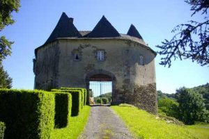 63e1d8_7a92d3a95bba4965a2eeadced0e52940~mv2